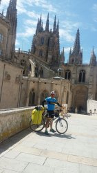 camino Frances hacia Santiago de Compostela 