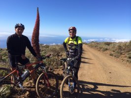 Ruta en Bicicleta el Contador de Arico
