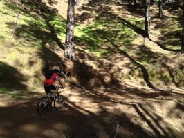 Las Raices mtb