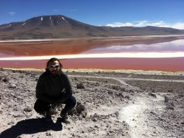 Laguna Colorada, la estrella del Sud Lípez. 60 km cuadrados de agua altamente mineralizada.