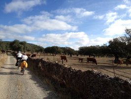 Via La Plata en MTB Etapa 2