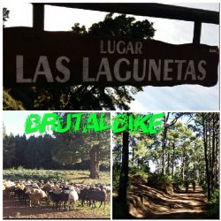 I XC El Rosario Brutalbike