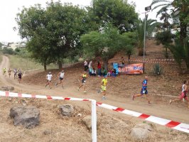 III Bicitrail La Guancha 2016