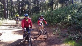 Ruta en bici de montaña por Tenerife