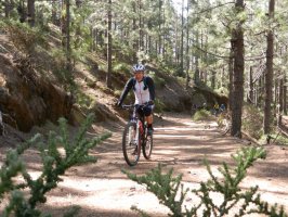 Ruta en bici de montaña por Tenerife