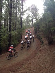 Bicicleta en Tenerife 