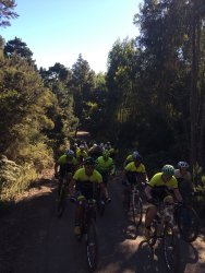 Rutas en bicicleta de montaña por Tenerife