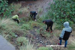 XC San Felipe 2016
