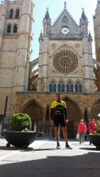 camino Frances hacia Santiago de Compostela 